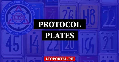 What are Protocol Plates (Low.